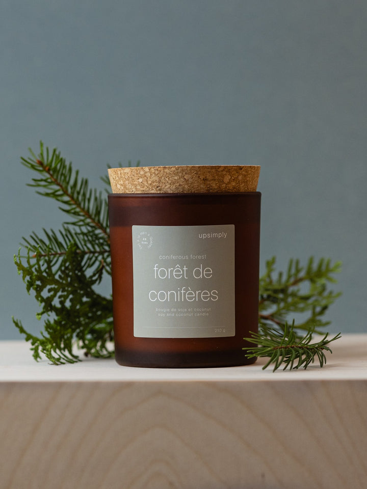 Ensemble soirée d'hiver - Décoration sapin, bougie, et Tisane