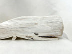 Baleine blanche - Bertrand Massé