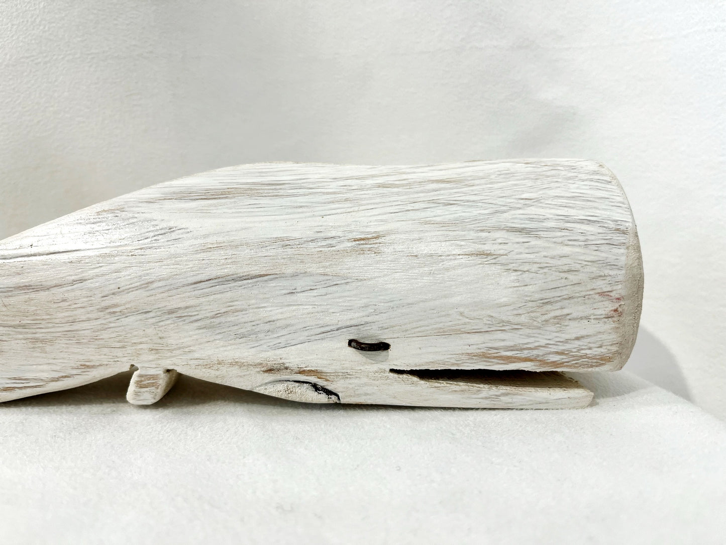Baleine blanche - Bertrand Massé