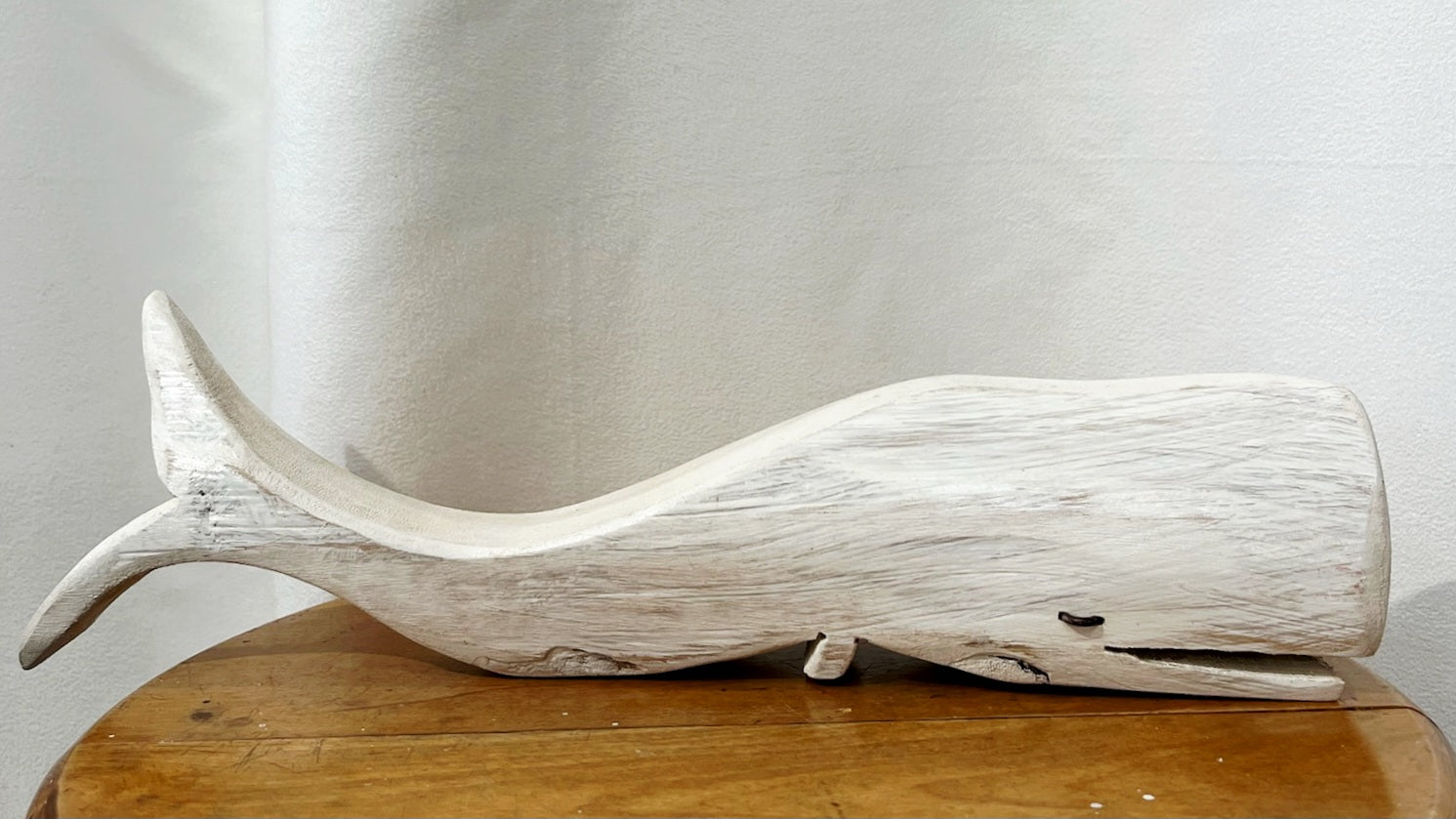 Baleine blanche - Bertrand Massé