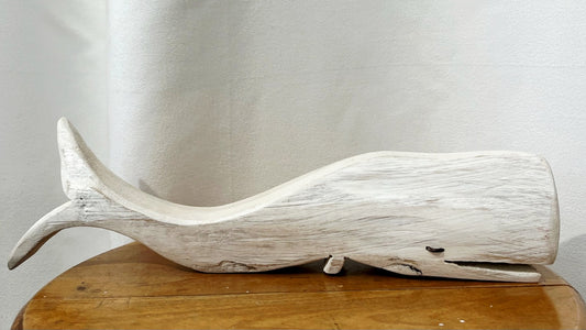 Baleine blanche - Bertrand Massé