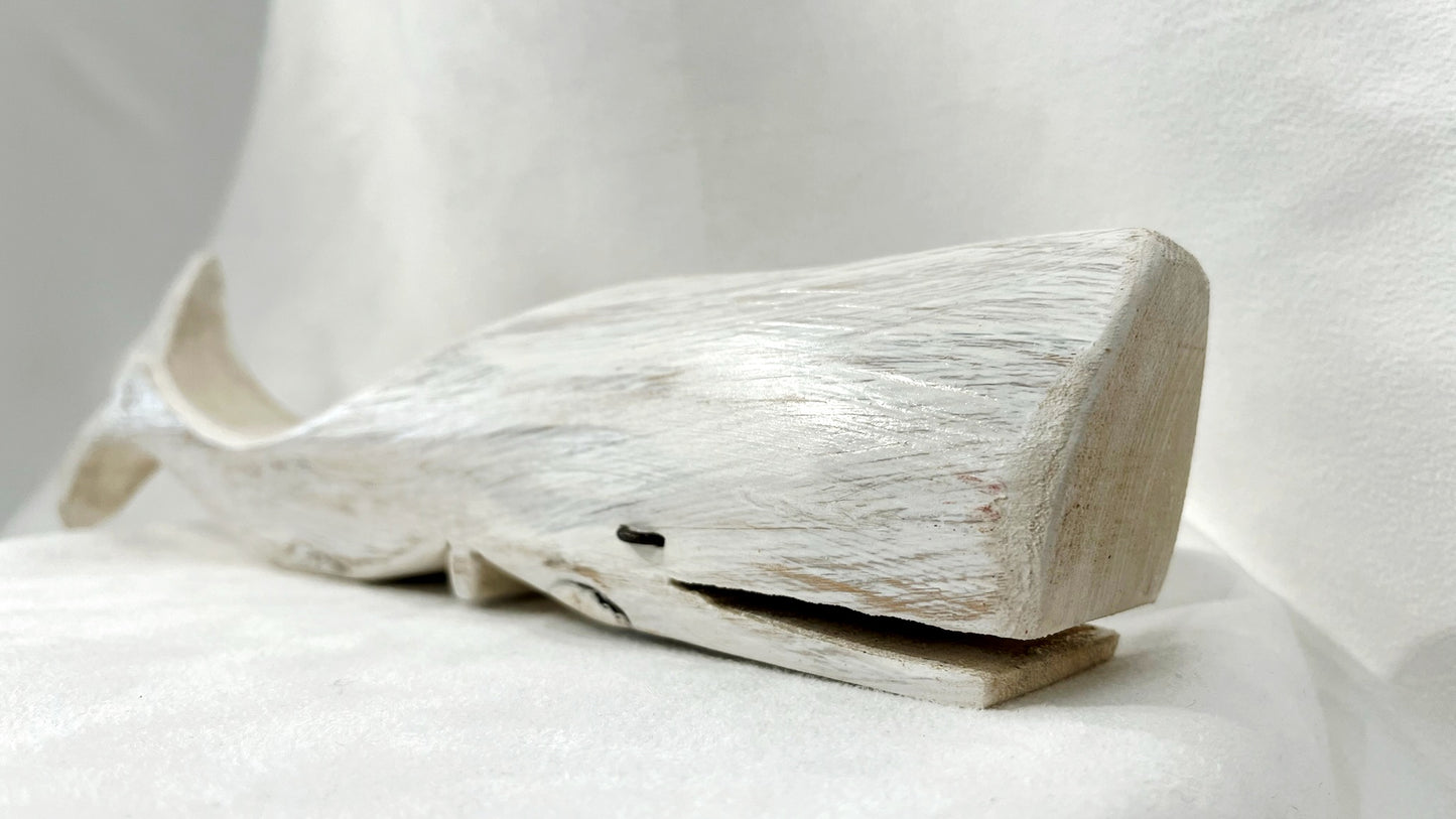 Baleine blanche - Bertrand Massé