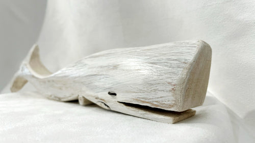 Baleine blanche - Bertrand Massé